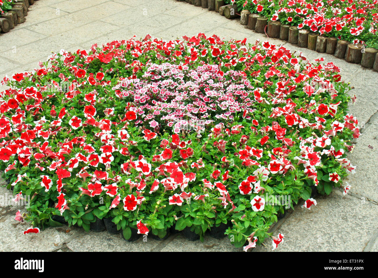 MB SEA FLOWERS PRINTED LAWN main image 0