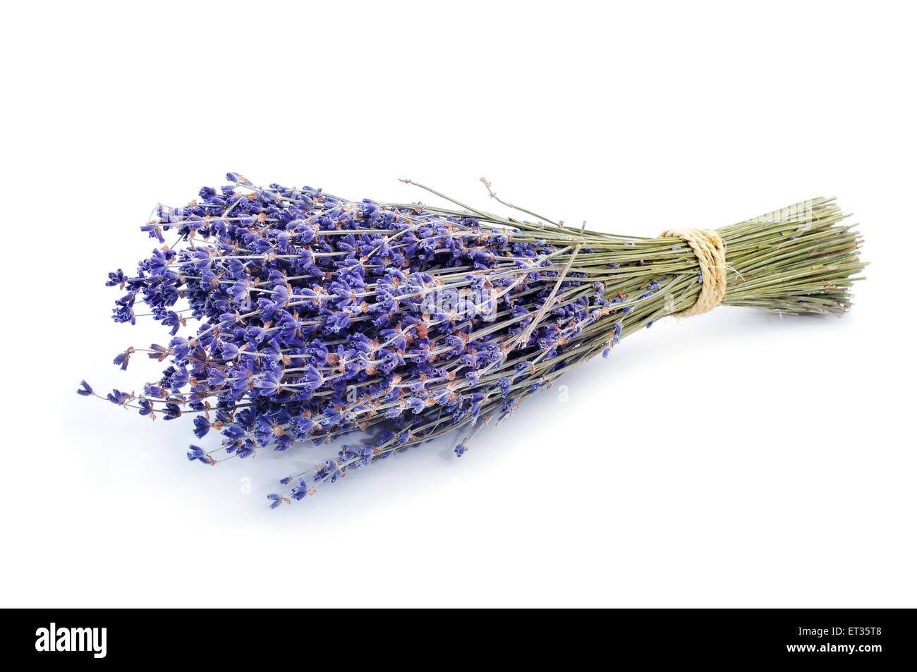 a bunch of lavender flowers tied with string on a white background Stock Photo