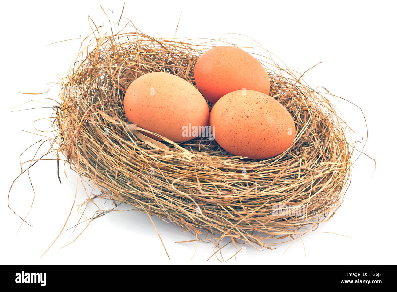 Eggs in Nest isolated on white Stock Photo - Alamy