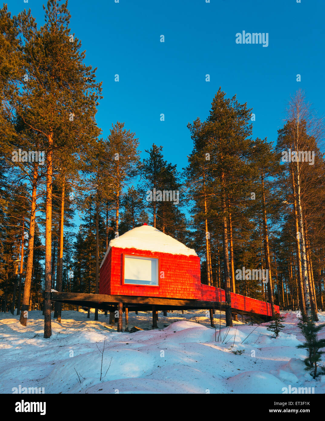 Arctic Circle, Lapland, Scandinavia, Sweden, The Tree Hotel, the Blue