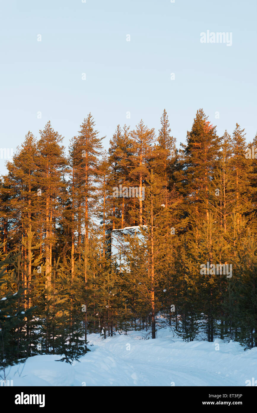 Arctic Circle, Lapland, Scandinavia, Sweden, The Tree Hotel, the Mirror