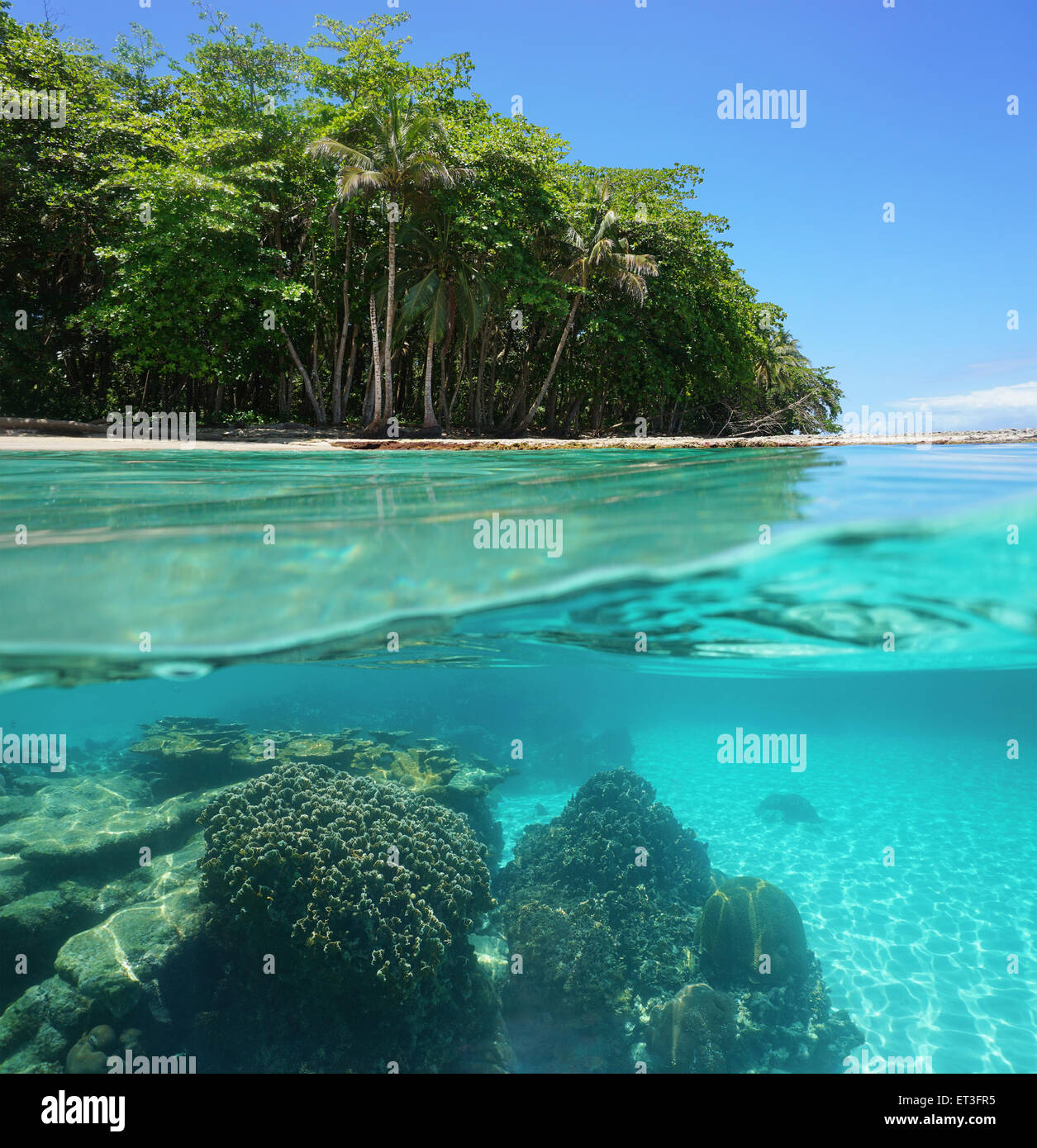 Split image of tropical shore above and below sea surface with lush vegetation and a coral reef underwater, Costa Rica Stock Photo