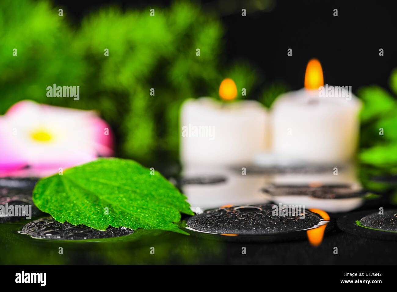 spa concept of hibiscus leaf, plumeria flower, green branch and candles on zen stones in reflection water, shallow depth of fiel Stock Photo