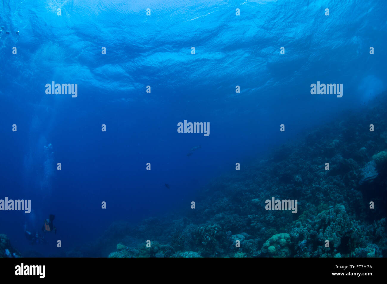 Underwater rope hi-res stock photography and images - Alamy