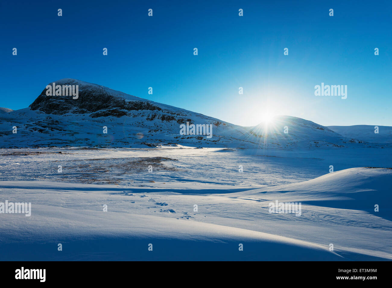 Arctic Circle, Lapland, Scandinavia, Sweden, Abisko National Park Stock Photo