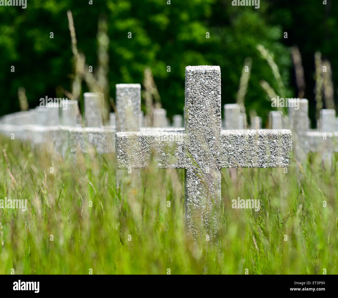 French war graves, French military cemetery at Hartmannswillerkopf mountain, Alsace, France Stock Photo