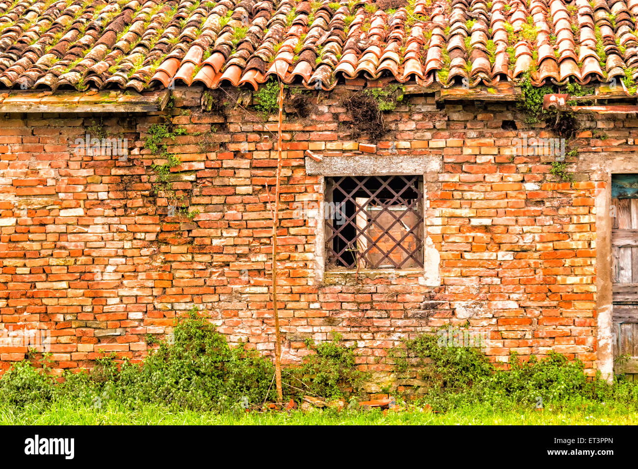 Window with lozenge shaped rusty grate in brick wall of ruined house in Cotignola in Italy Stock Photo