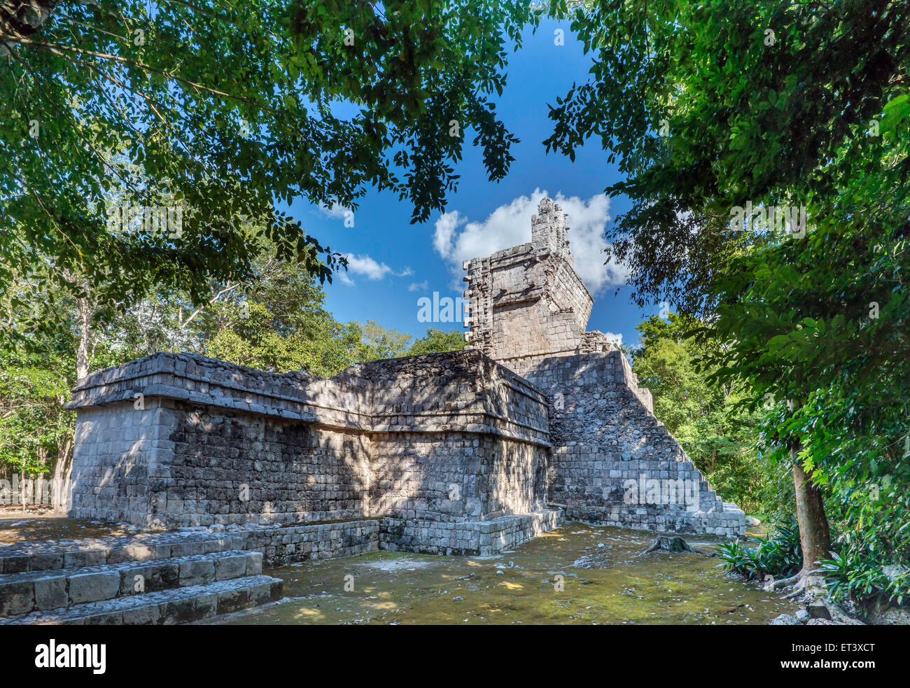 Temple I, Maya ruins at El Tabasqueno archaeological site, near Hopelchen, Yucatan Peninsula, Campeche state, Mexico Stock Photo