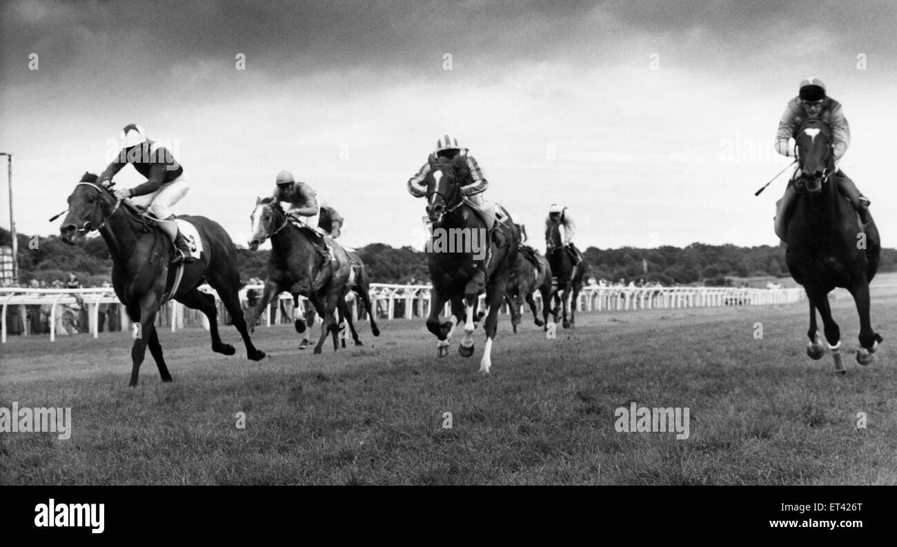 Get Carter.... and  top jockey Steve Couthen couldn't at Gosforth Park. The unconsidered Farajullah, partnered by Gary Carter wins the Federation Brewery Beeswing Stakes at the expense of Couthen's mount Midyan, with the favourite Noble Minstrel, centre c Stock Photo