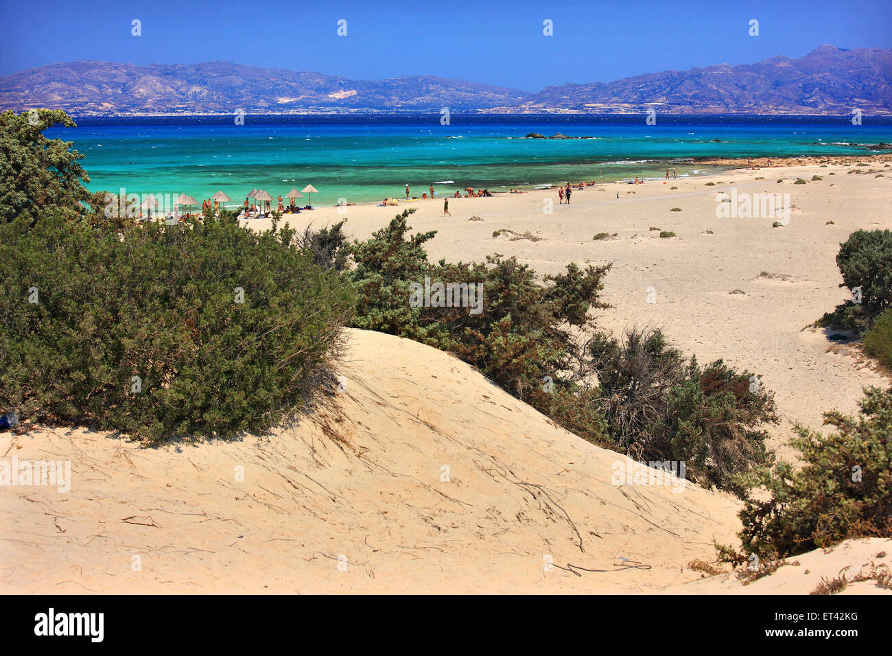 This is Chrissi  island, a small exotic island, a tiny paradise, 8 miles south of  Ierapetra, Lasithi, Crete, Greece Stock Photo