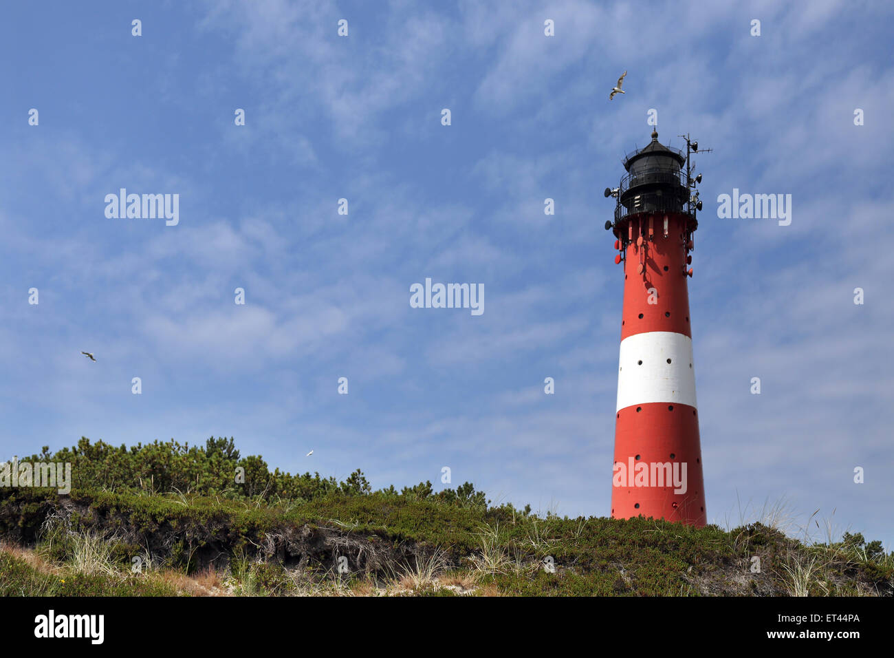 Hornum, Germany, the lighthouse Hoernum in the dunes on Sylt Stock Photo -  Alamy