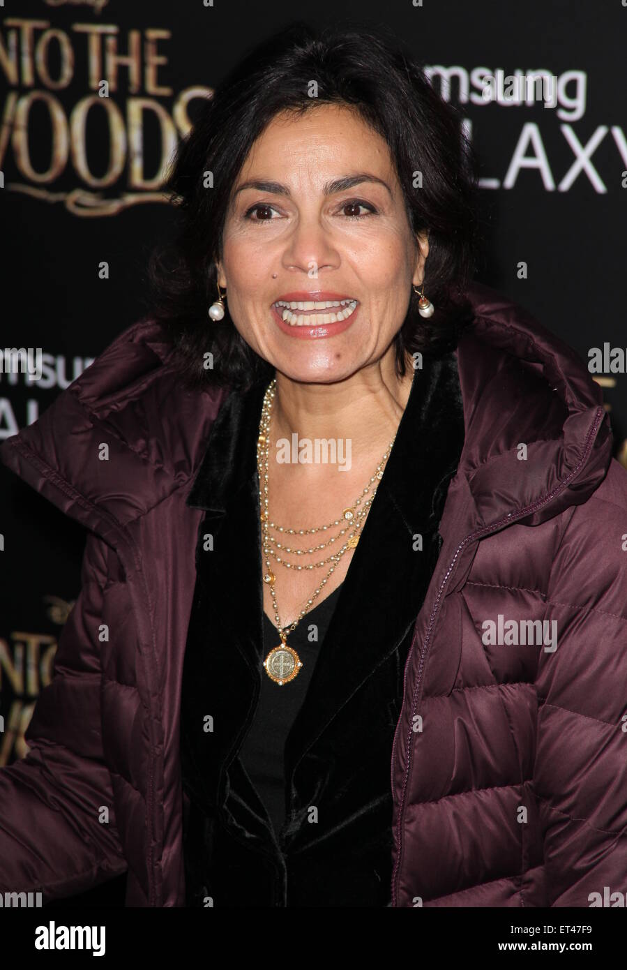'Into The Woods' New York premiere held at the Ziegfeld Theater - Arrivals  Featuring: Rachel Ticotin Where: New York, United States When: 09 Dec 2014 Credit: PNP/WENN.com Stock Photo