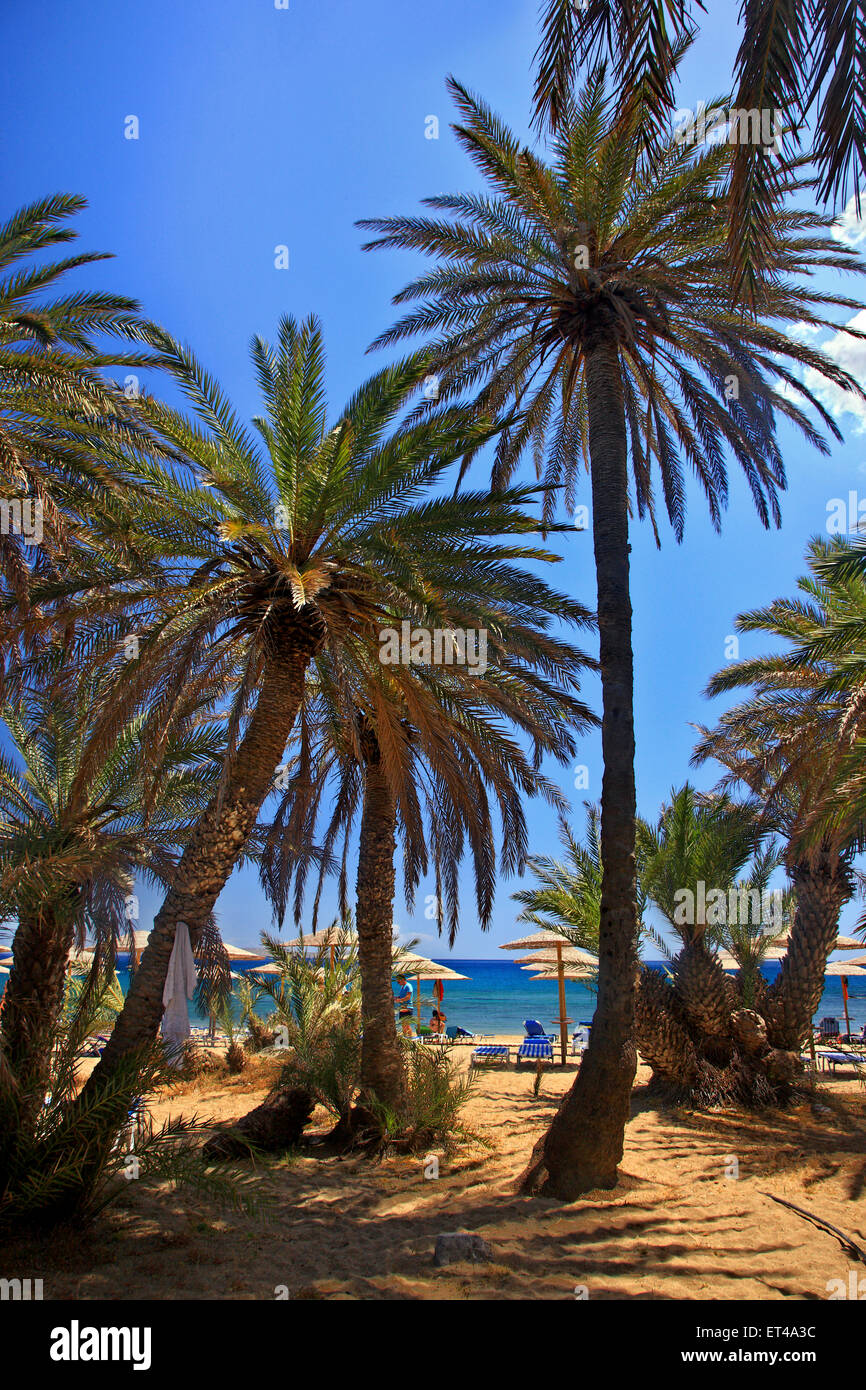 Vai Beach, Famous For Its Unique Palm Tree Forest, Close To Sitia Town ...