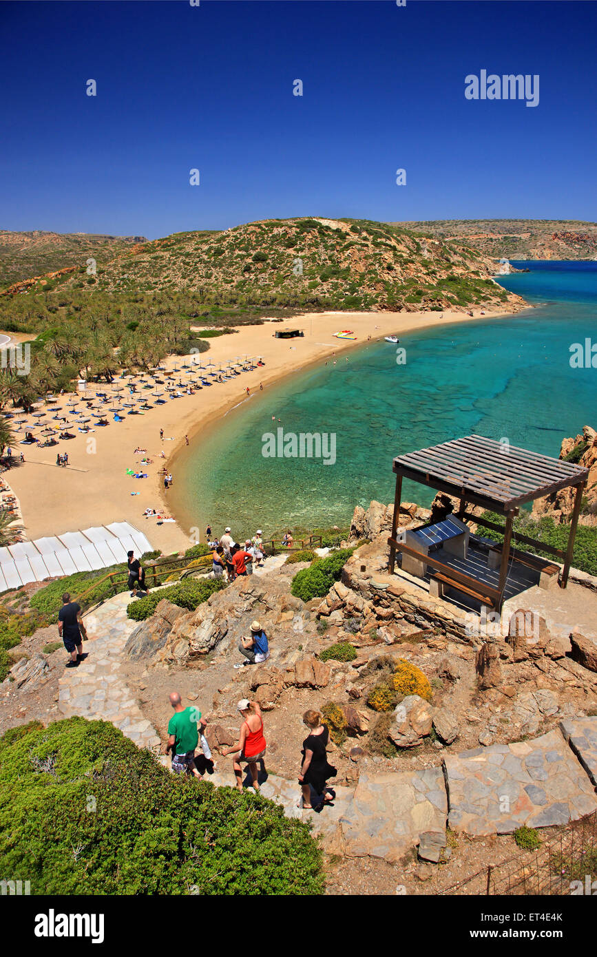 Vai beach, famous for its unique palm tree forest, close to Sitia town ...