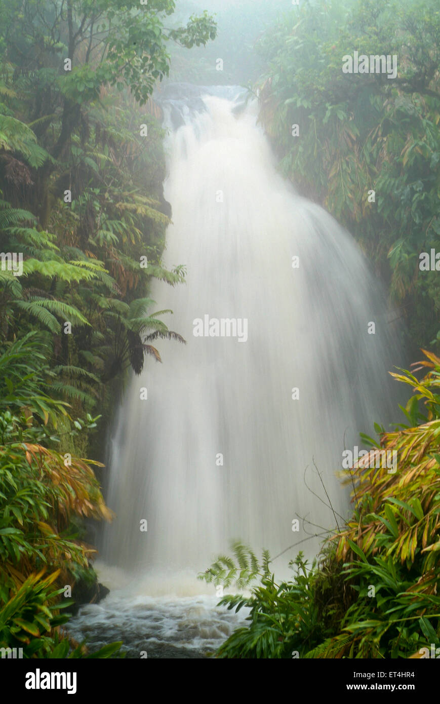 White Road Hike waterfalls in Waimea, Hawaii Stock Photo Alamy