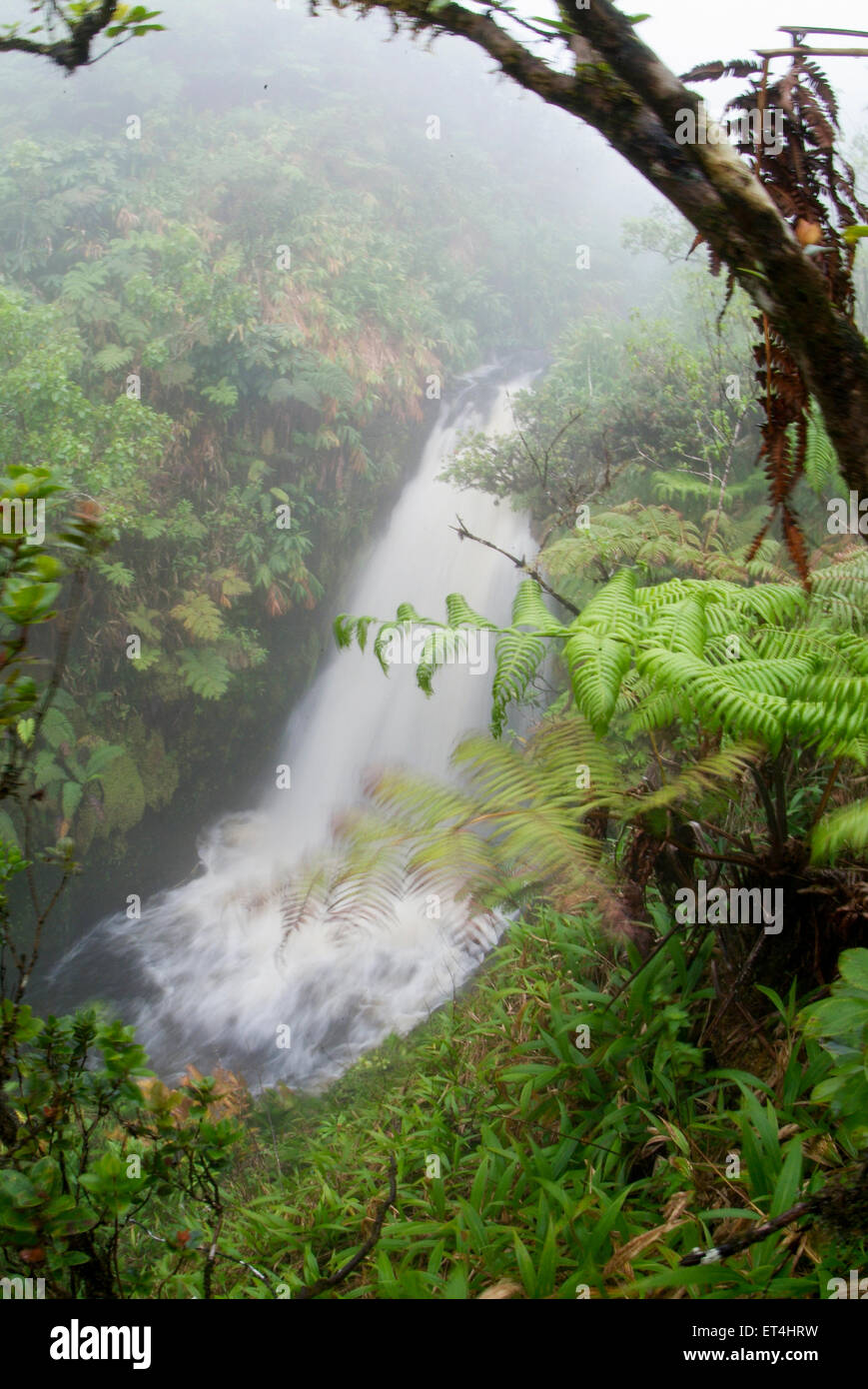 White Road Hike waterfalls in Waimea, Hawaii Stock Photo Alamy