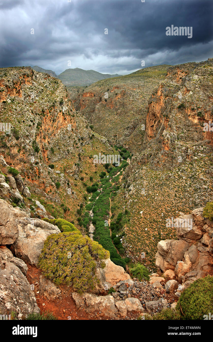 The 'Canyon of the Dead', also known as 'Dead's Gorge', close to the archaeological site of Kato Zakros, Lasithi, Crete, Greece Stock Photo