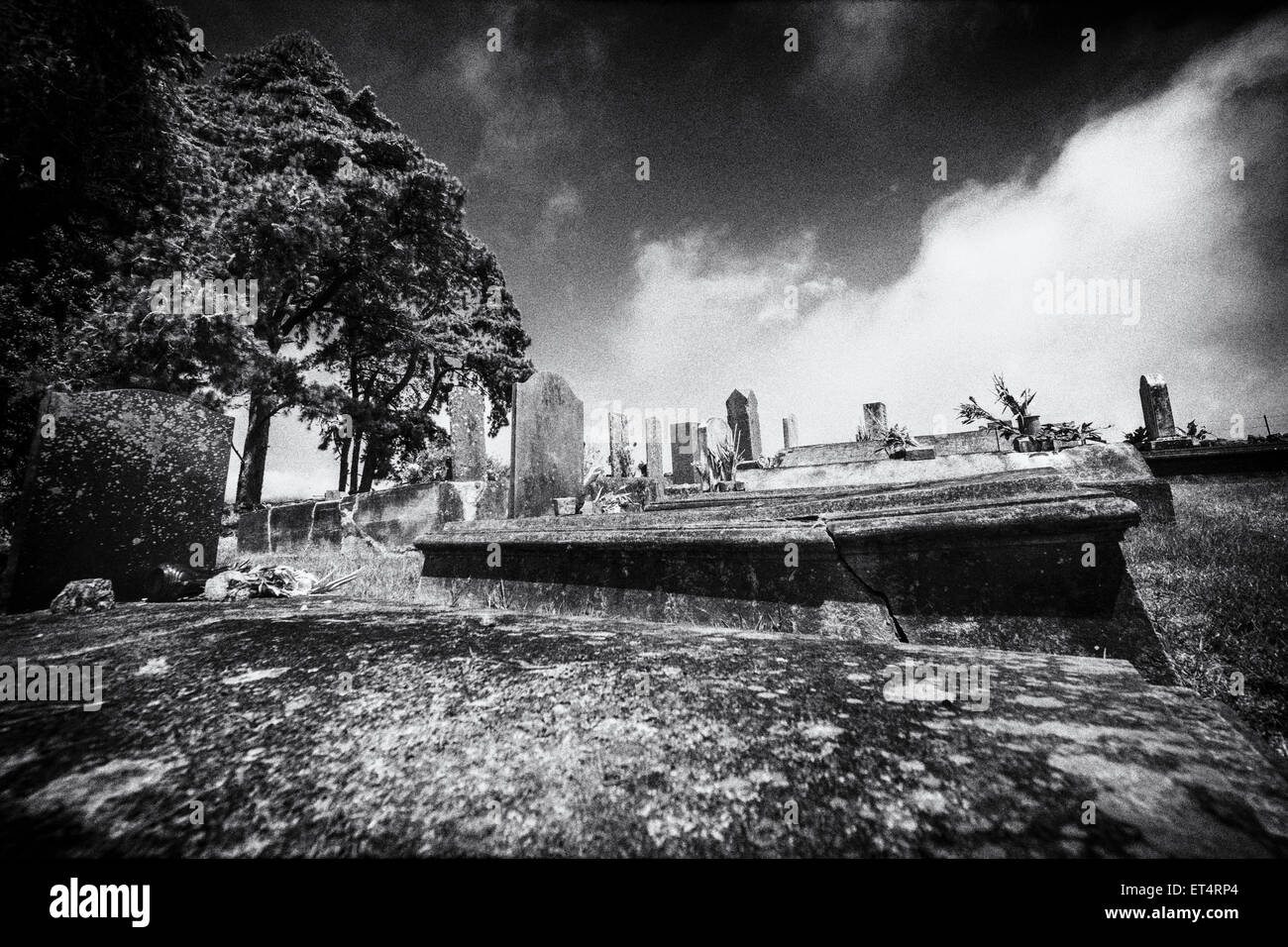 B&W HDR image of private Parker Mana Road cemetery in Kamuela, Hawaii Stock Photo
