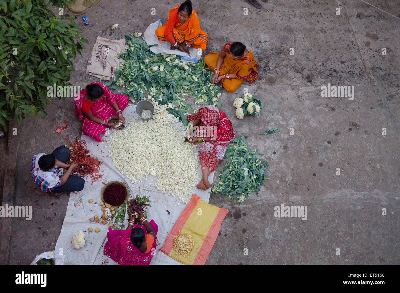 Indian women prepare huge feast for pilgrims at Maga Sapthami sun festival in Konark, Odisha, India Stock Photo