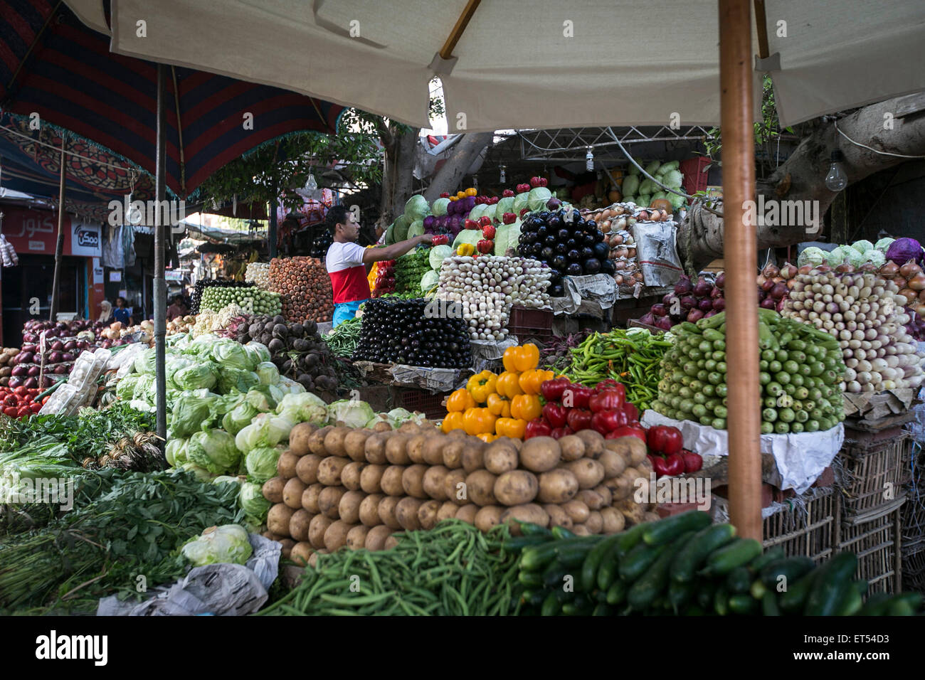 Cairo, Egypt. 11th June, 2015. An Egyptian vendor organizes vegetables