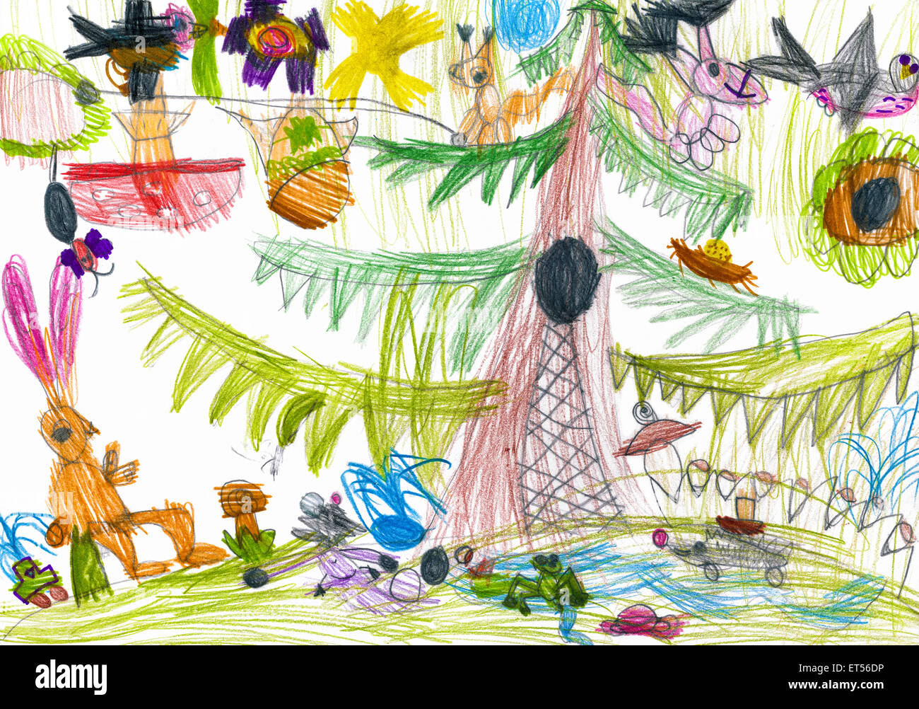 Forest Wild Animals Child Drawing High Resolution Stock Photography and