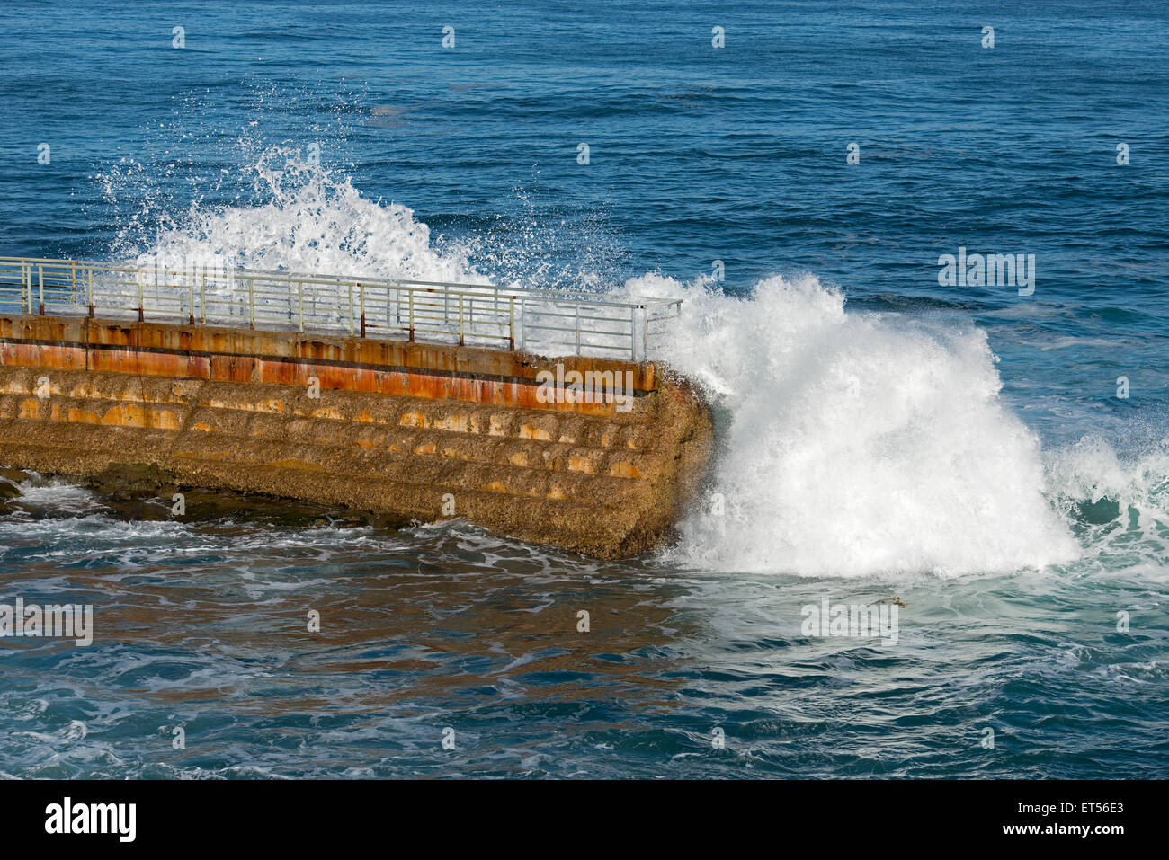 Children's Pool Seawall, La Jolla, California Stock Photo Alamy