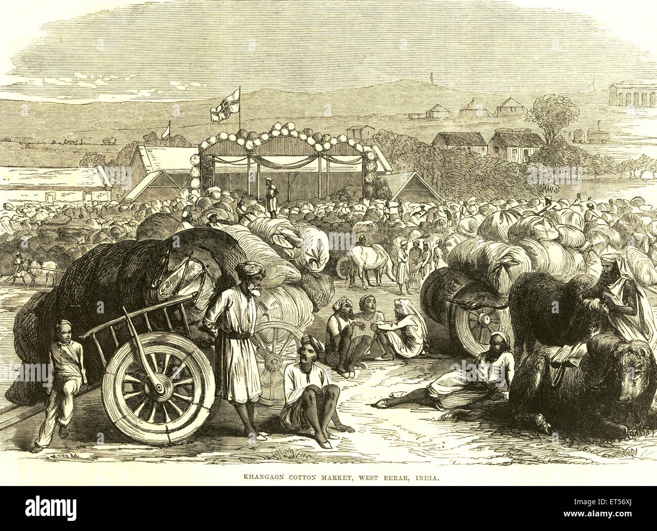 Khamgaon cotton market ; Maharashtra ; India Stock Photo Alamy