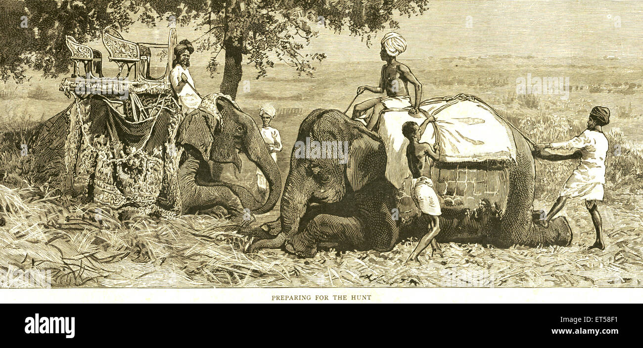 Hunting & animal views ; preparing for the hunt ; India Stock Photo