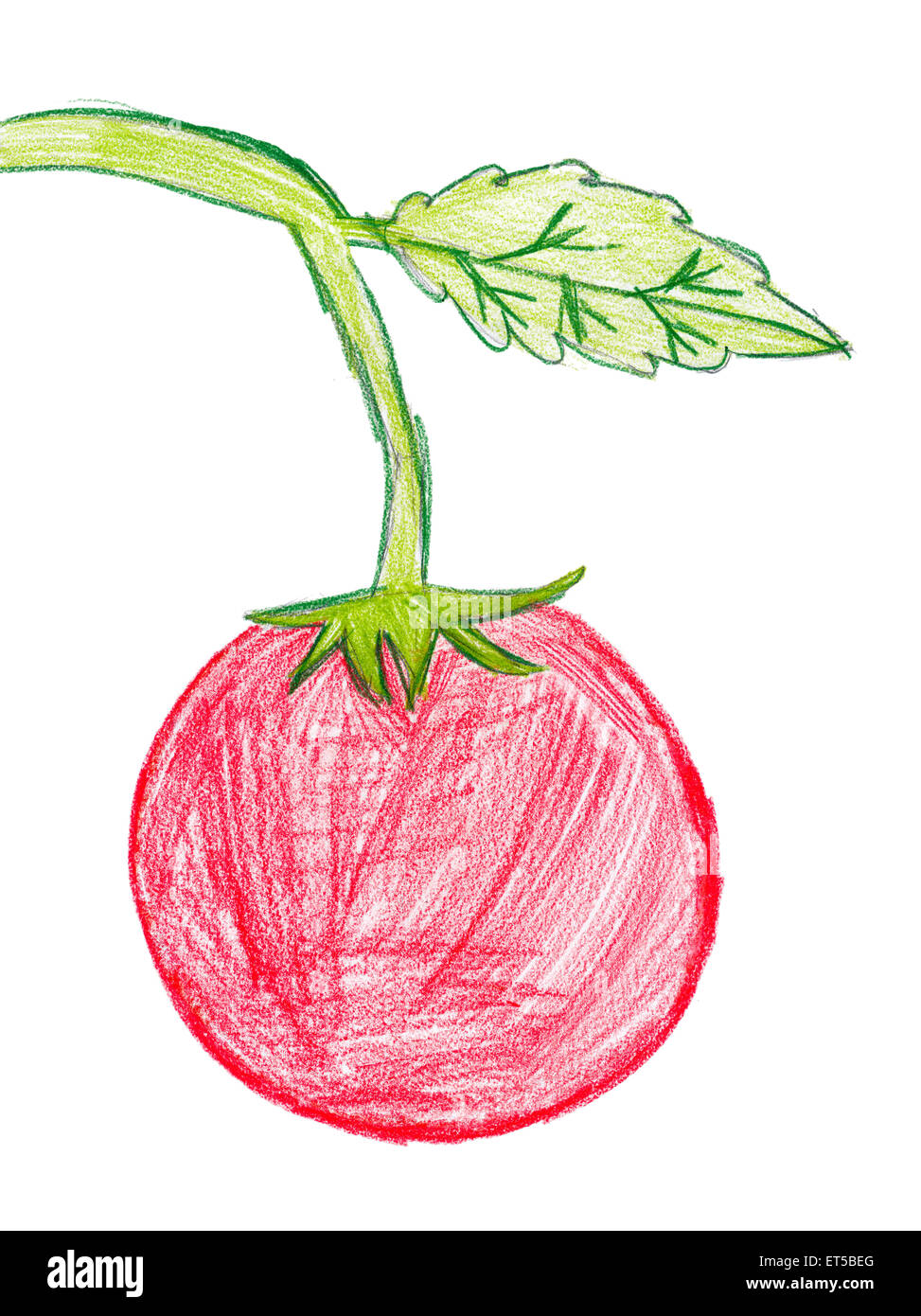 How to Draw a Tomato Step by Step  EasyLineDrawing