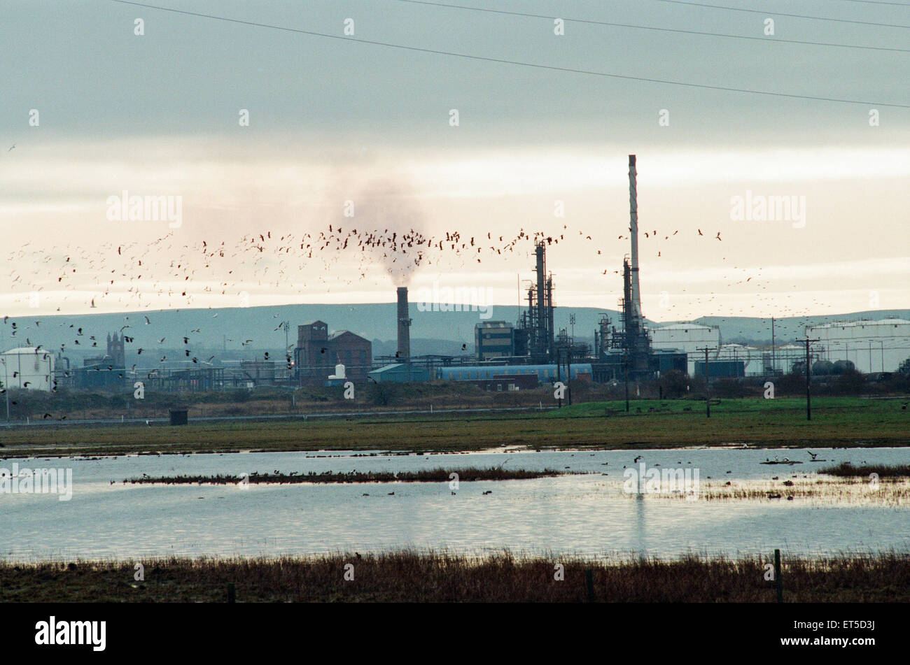 Seal sands middlesbrough hi-res stock photography and images - Alamy