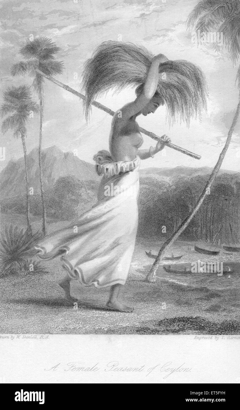 Female peasant Ceylon ; Sri Lanka Stock Photo
