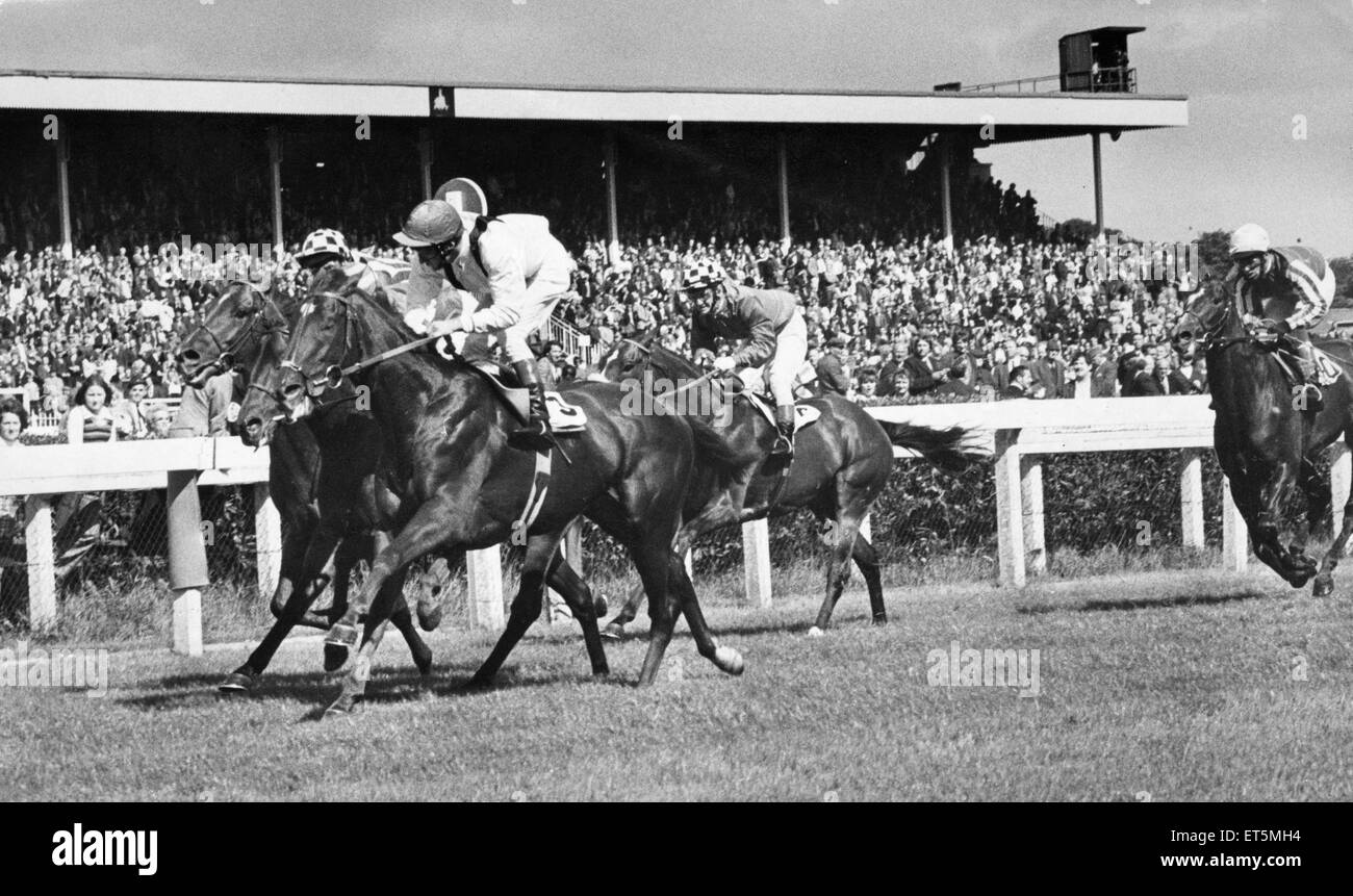 JOCKEY Alec Russell was  suspended for three days  at Newcastle for causing serious interference on Downstream in a sensational race for the Northumberland Sprint.  Alec. 55, pulled out to challenge a furlong out, nearly brought down  Flintham and was bea Stock Photo