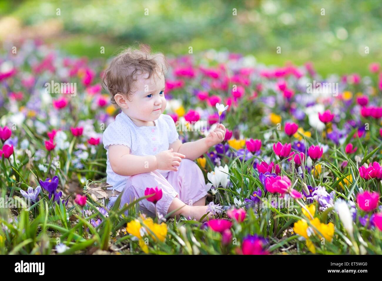 Cute curly little baby sitting between beautiful spring flowers Stock Photo  - Alamy, image size:1300x956