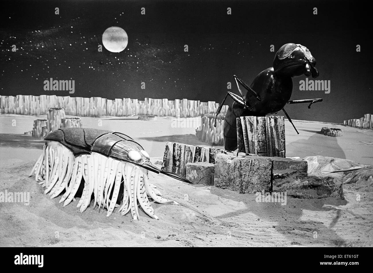The Dr Who television serial written by Bill Struttonwill, 'The Web ...