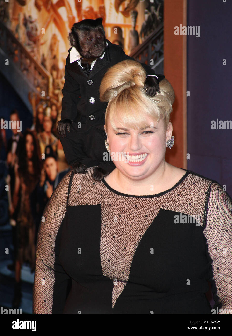 New York Premiere of 'Night at the Museum: Secret of the Tomb' at The Ziegfeld Theater - Arrivals  Featuring: Crystal The Monkey, Rebel Wilson Where: New York City, New York, United States When: 12 Dec 2014 Credit: PNP/WENN.com Stock Photo