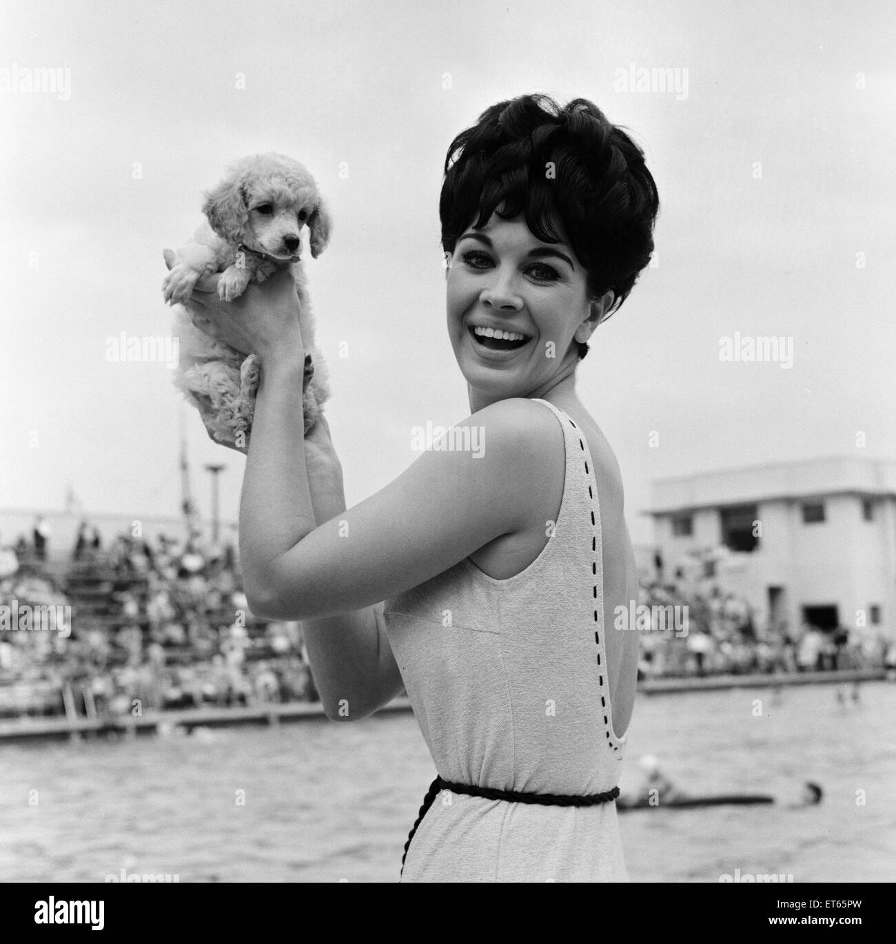 Beauty Contests 1960s High Resolution Stock Photography And Images Alamy