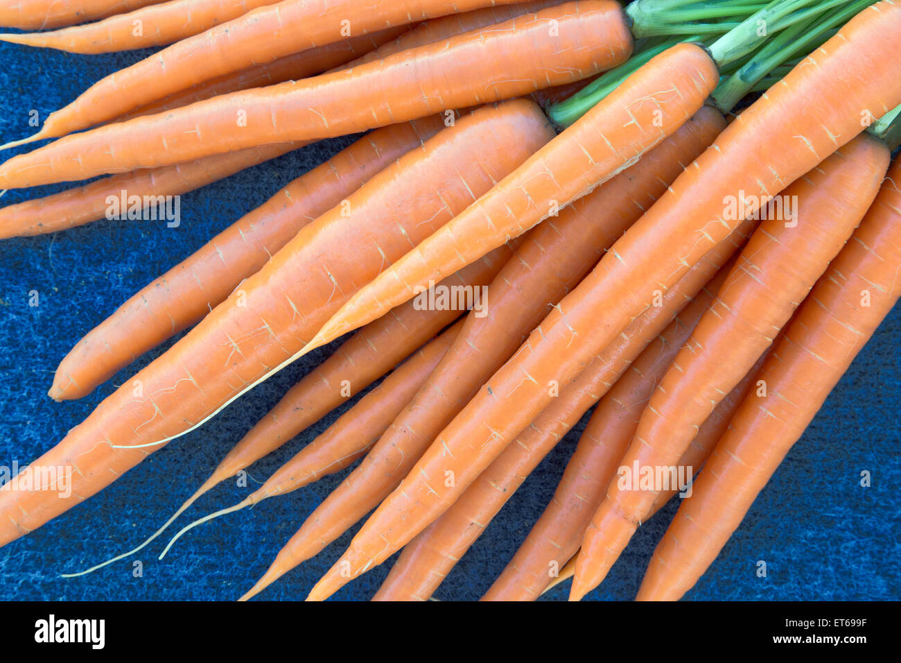 Freshly harvested organic carrots. Stock Photo