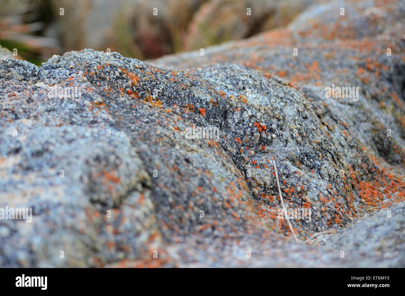 Ancient rocks. Stock Photo