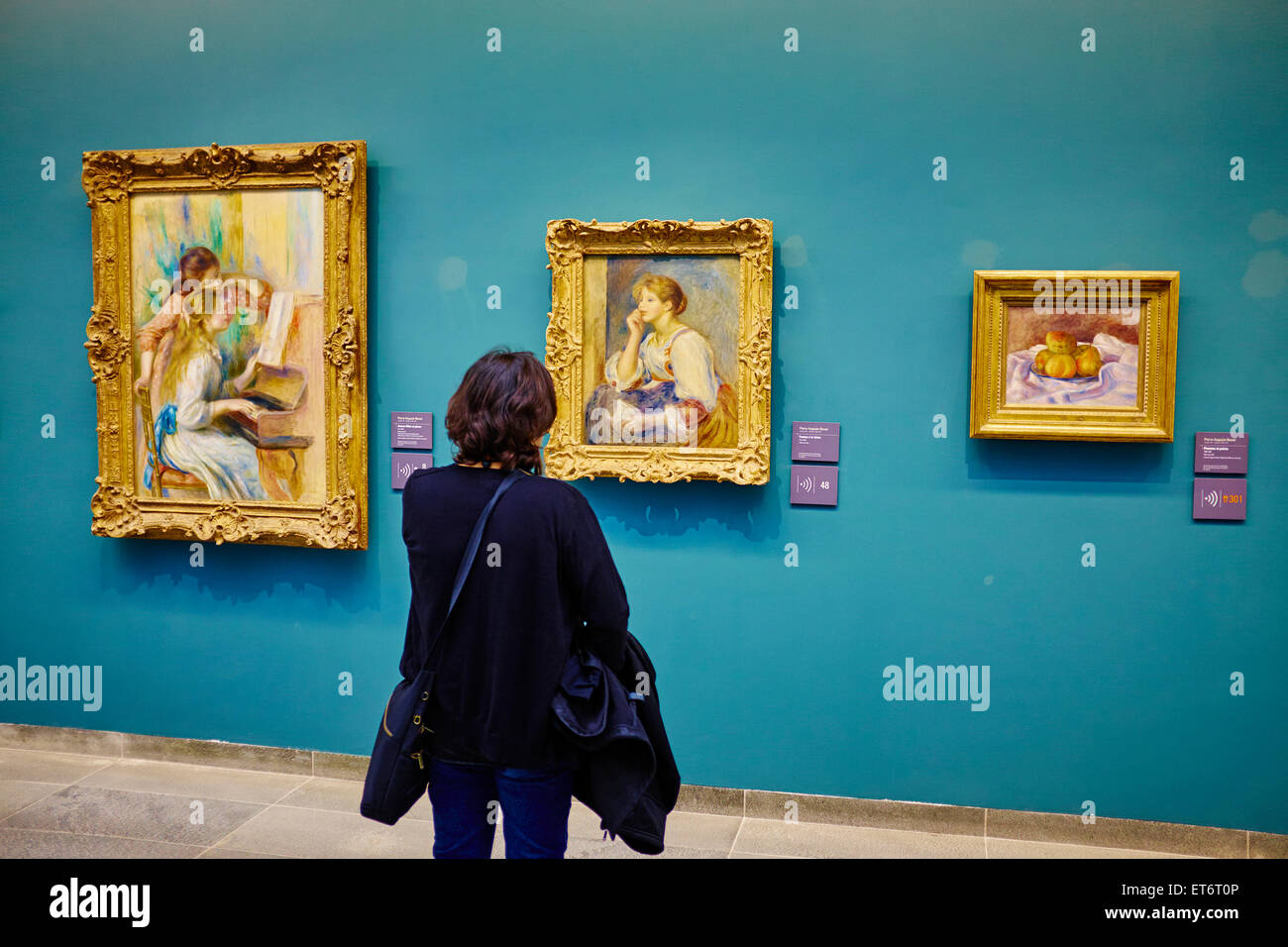 France, Paris, les Tuileries, museum of Orangerie, Pierre-August Renoir painting Stock Photo