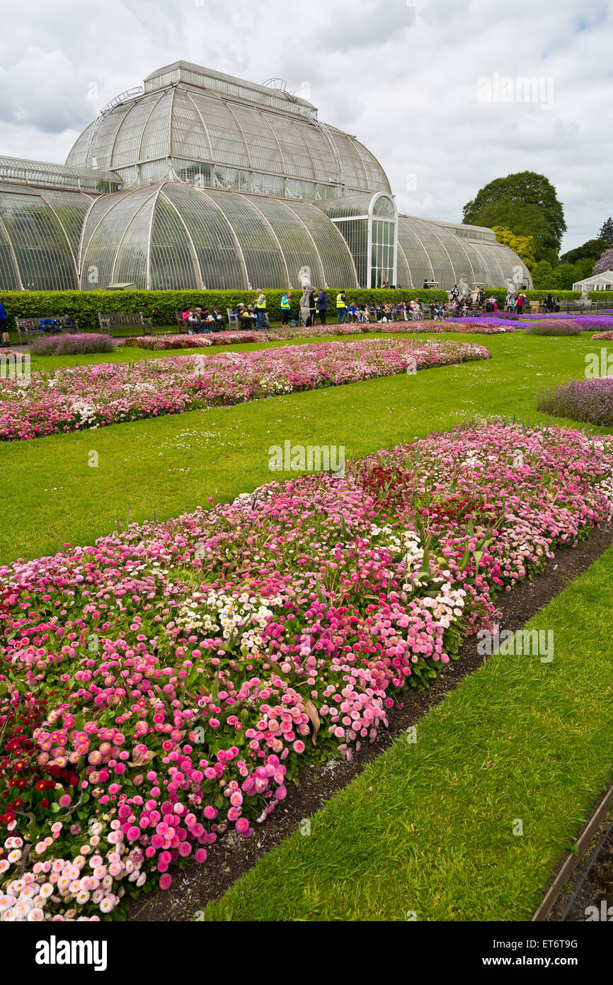 Kew royal botanical gardens, Palm house - London, UK, Europe Stock ...