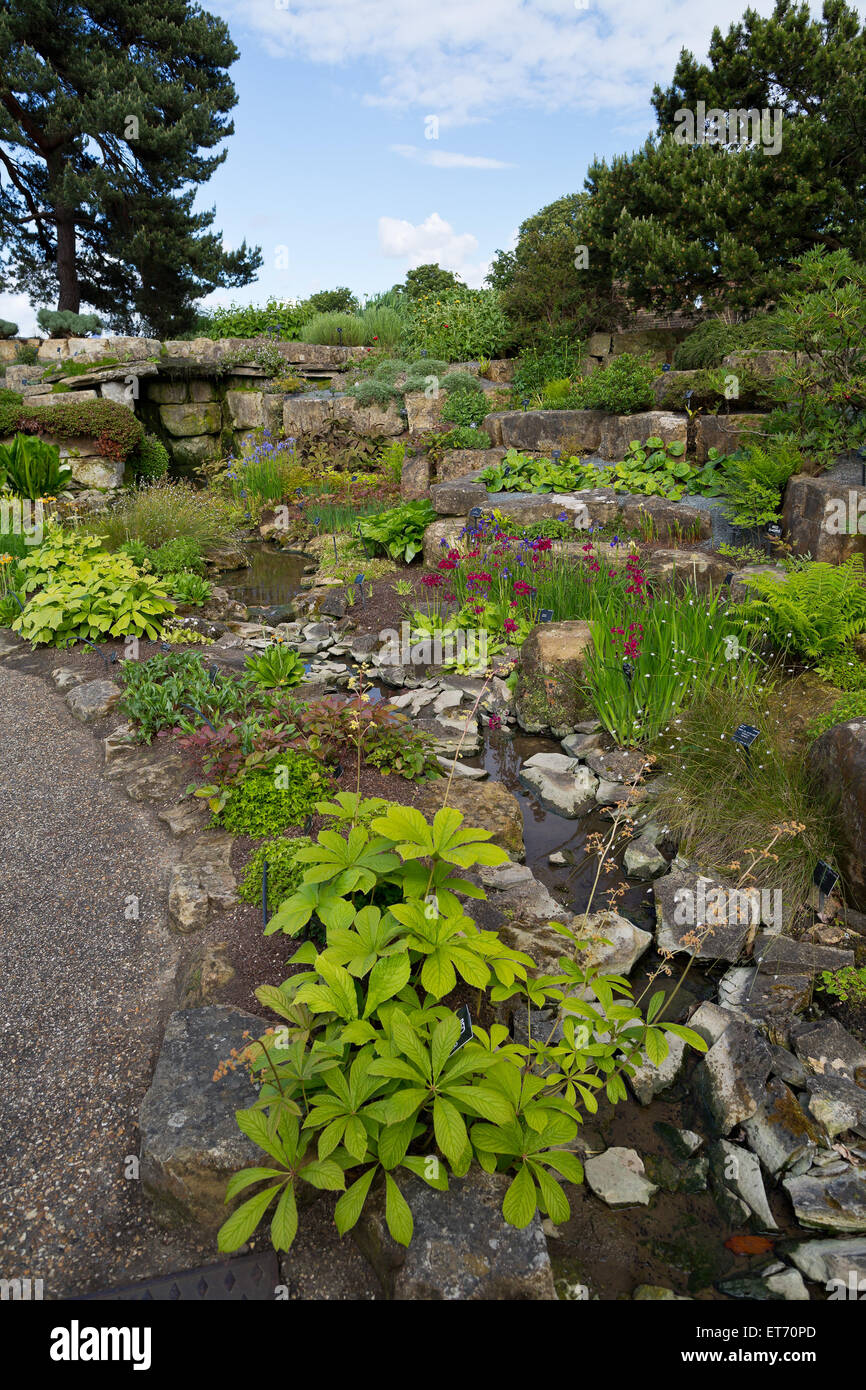 Kew royal botanical gardens, Rock garden - London, UK, Europe Stock Photo