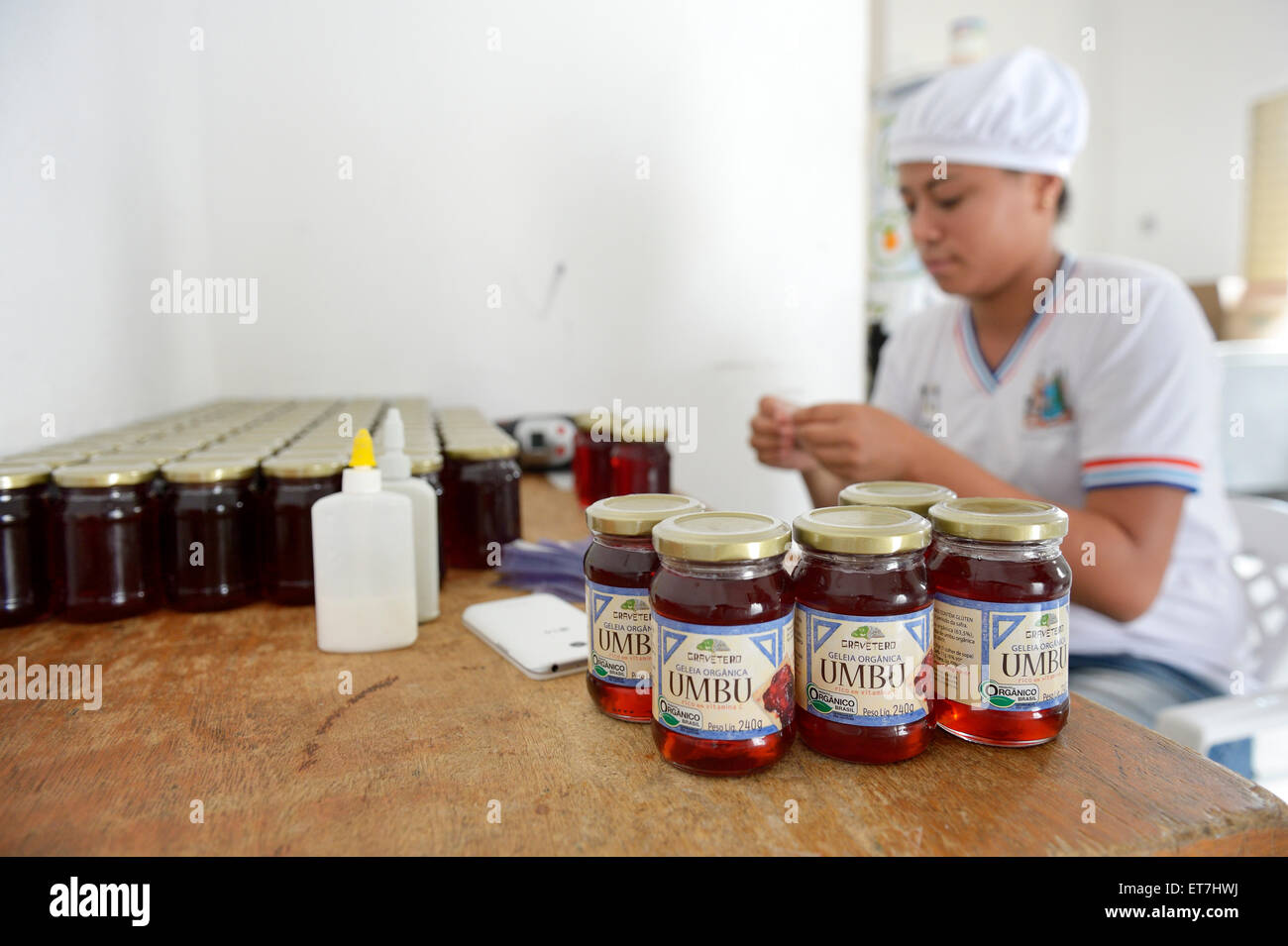 Brazil, Bahia, Munizip Uaua, woman labeling umbu jam jars Stock Photo