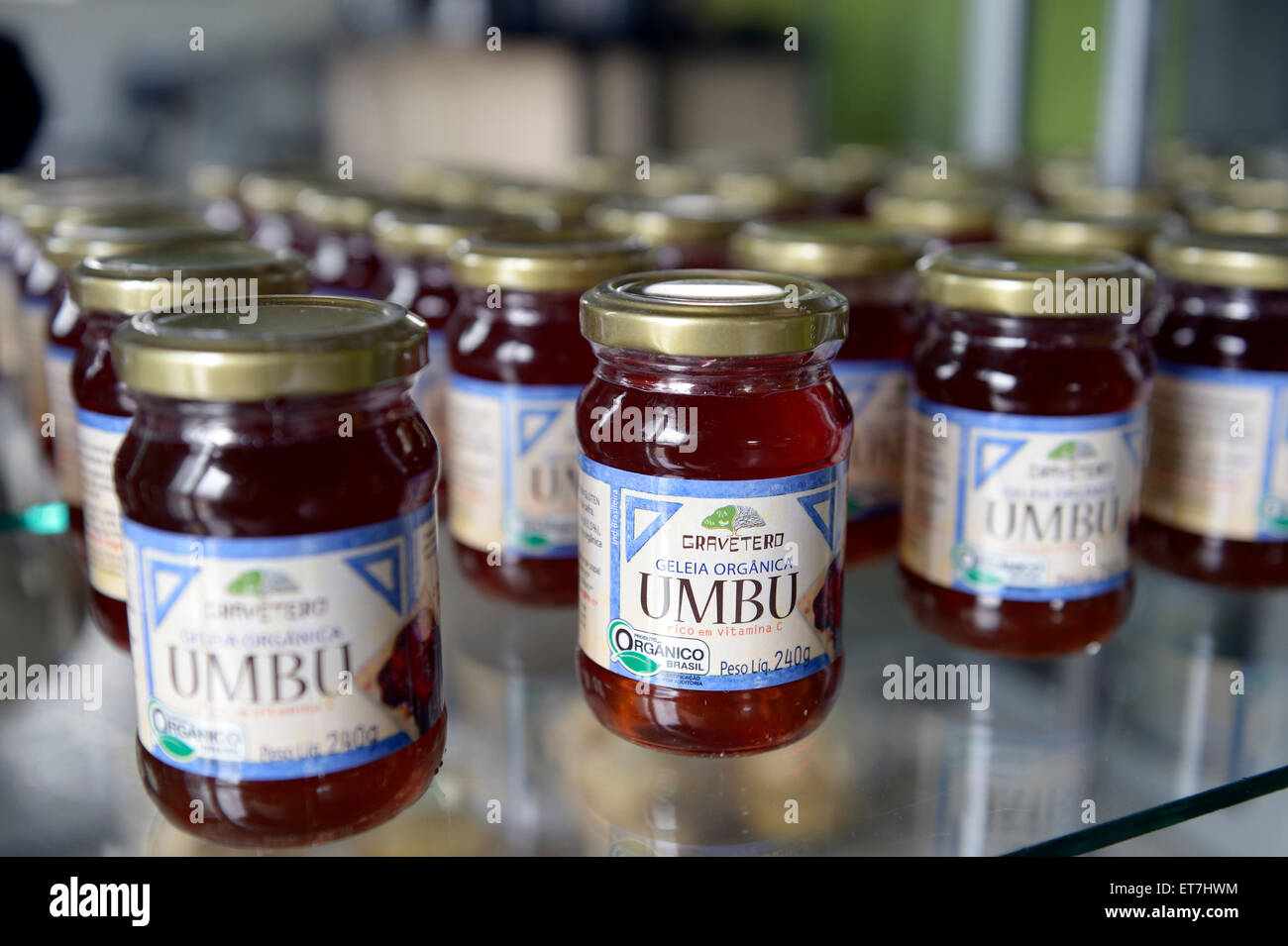 Brazil, Bahia, Munizip Uaua, umbu jam jars in factory Stock Photo
