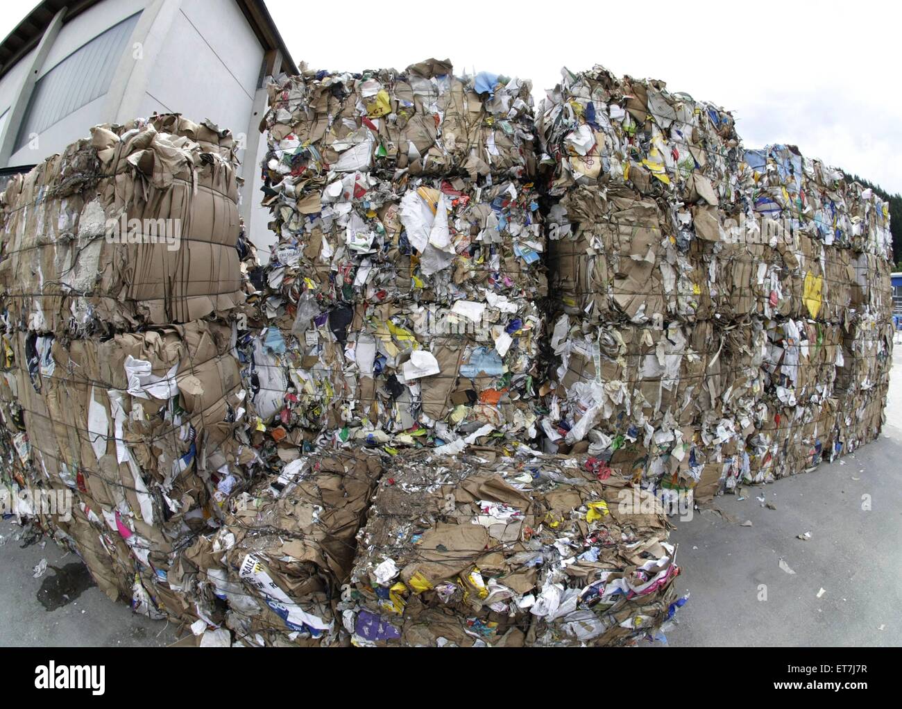 Altpapierballen auf einer Muellhalde | waste paper on a waste disposal Stock Photo