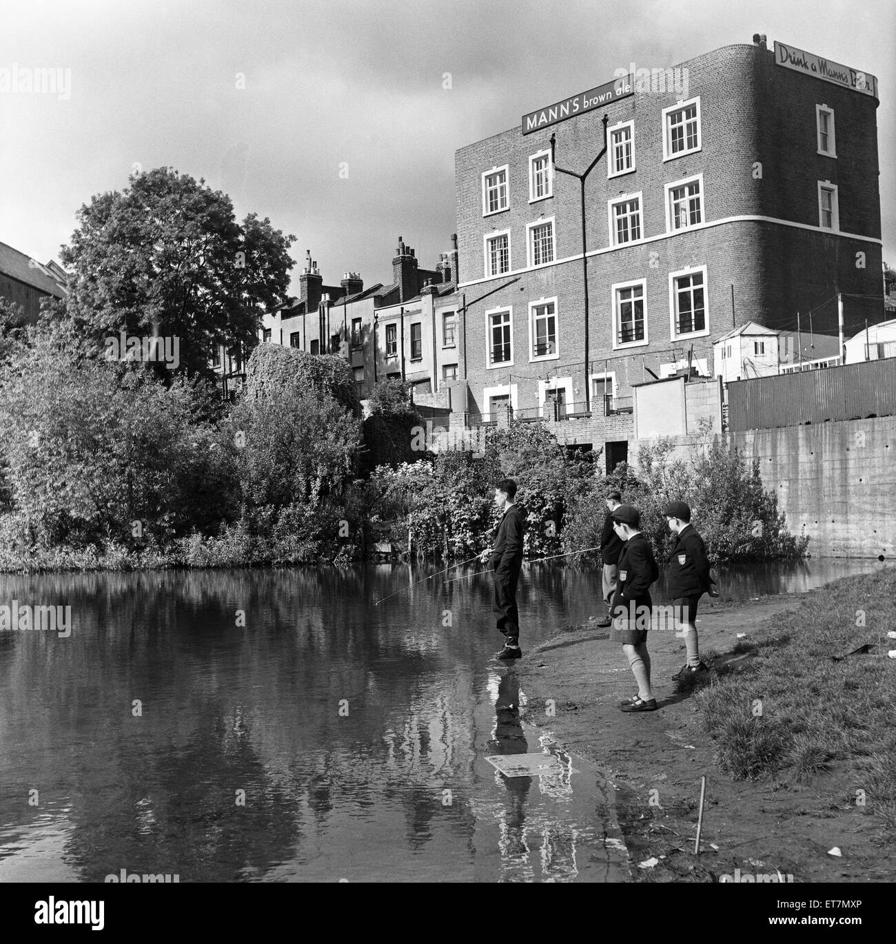 Scenes in Hampstead, north London. 24th September 1954. Stock Photo