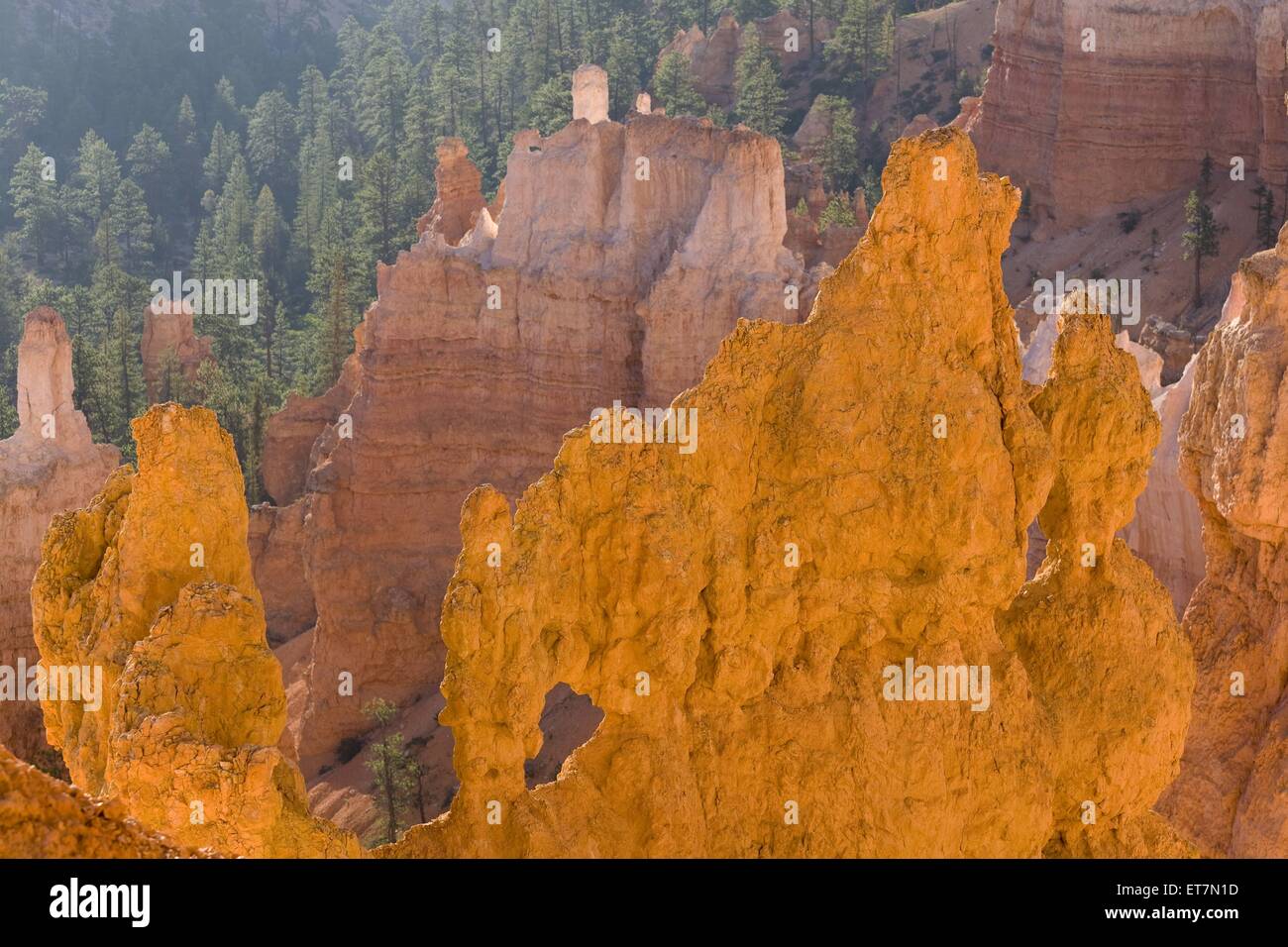 verschiedenfarbige bizarre Erosionsformen mit Felsenfenster im Amphitheater im Morgenlicht, USA, Utah, Bryce Canyon Nationalpark Stock Photo