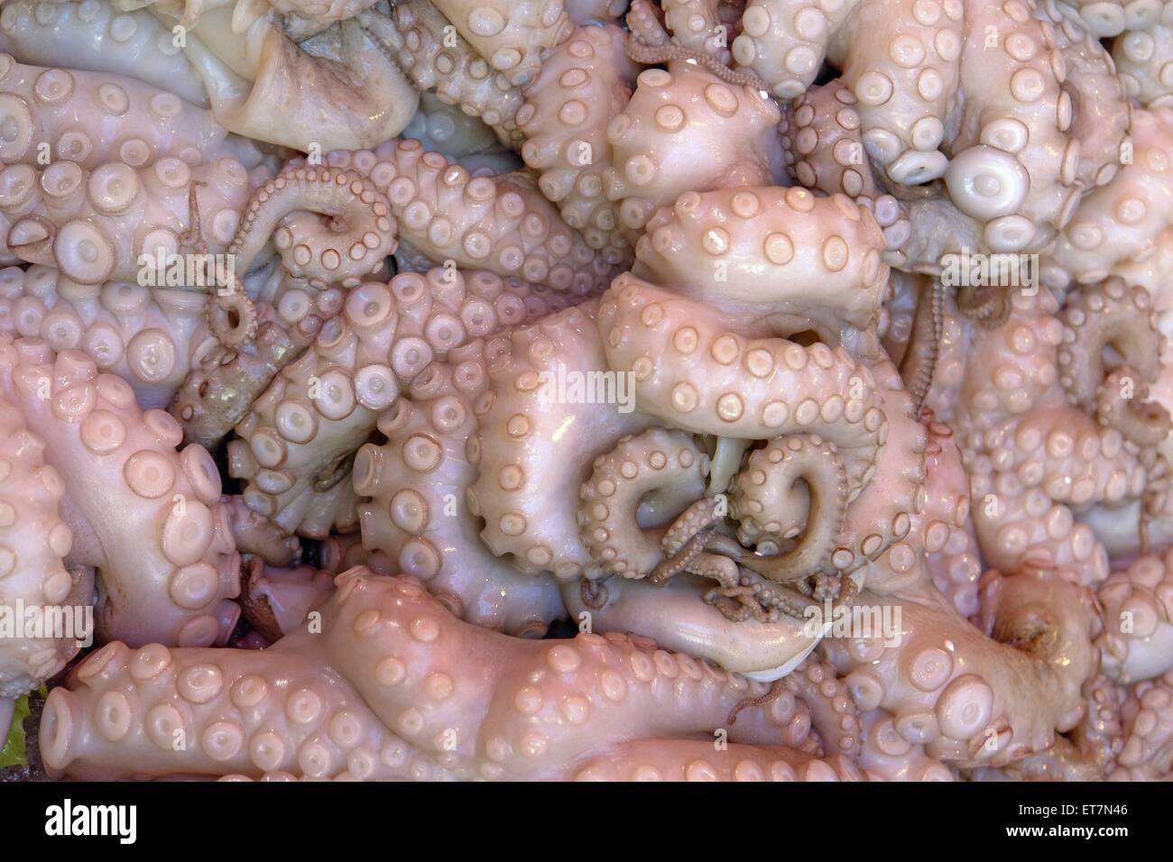 Tintenfisch Markt High Resolution Stock Photography And Images Alamy