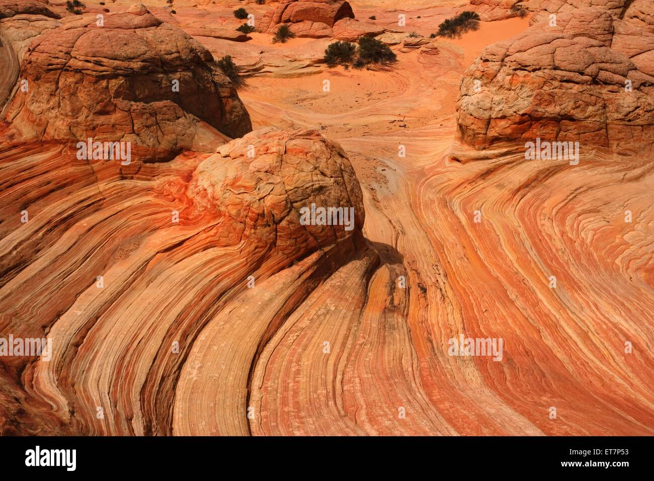 Brainrocks, farbenfrohe Schichten ziehen sich durch den Sandstein, USA, Utah, Grand Staircase Escalante National Monument, Coyot Stock Photo