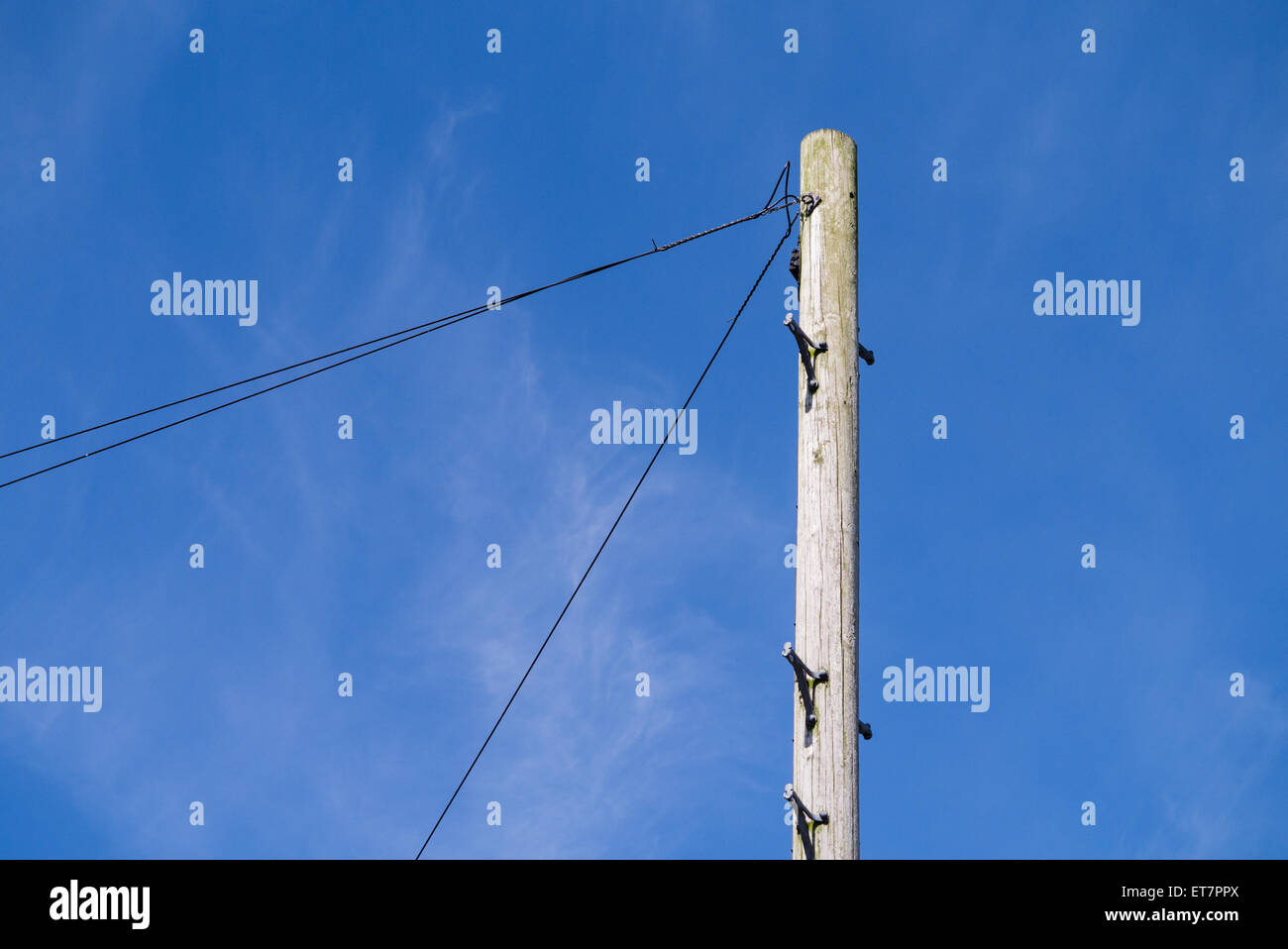 Wooden telegraph pole with phone lines against a bright blue sky with copyspace Stock Photo