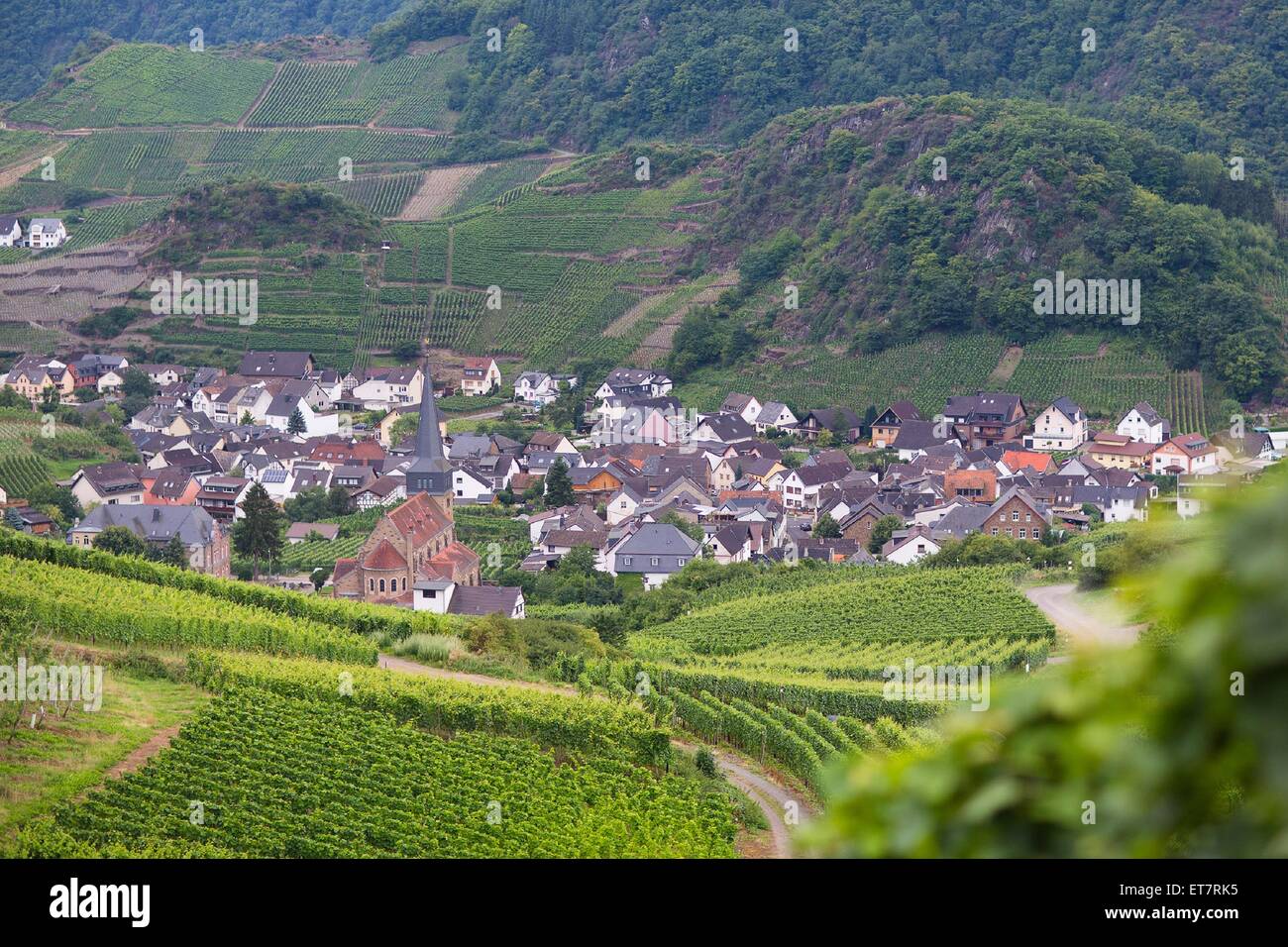View of a beautiful village with mountains and vineyards in Germany, Mayschoss Stock Photo